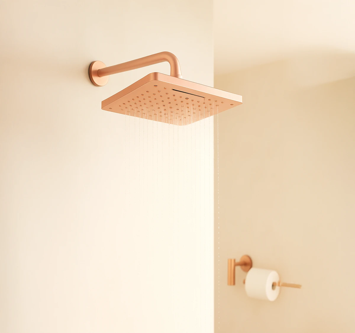 Ceiling Shower(RG)