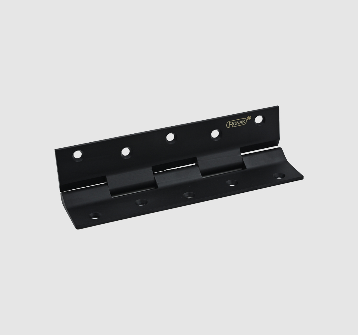 Door Hinges Black Brass