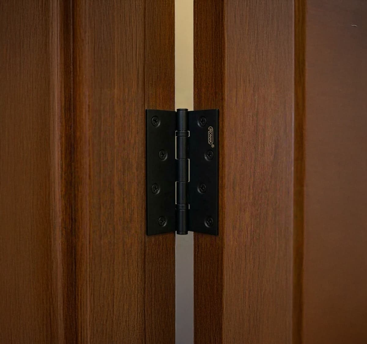 Door Hinges Black Brass