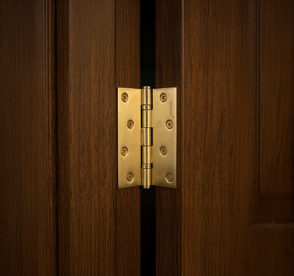 Door Hinges Gold Lacquer Brass
